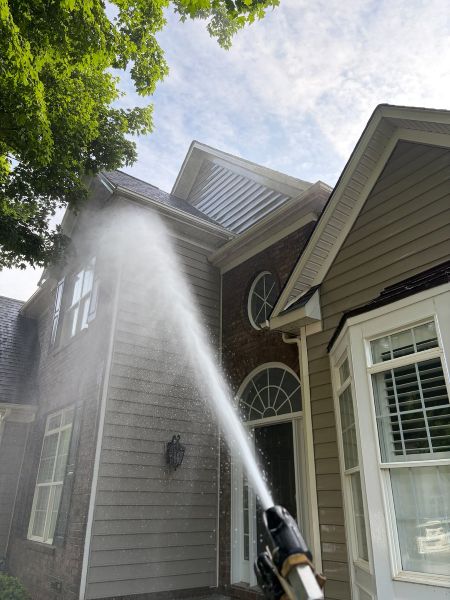 Summer Mold and Pollen Prevention Tips for Charlotte Homes